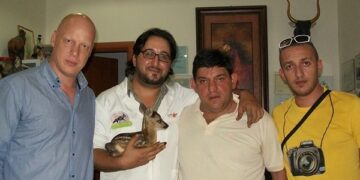 Salvato cucciolo di capriolo, ritrovato in Sila