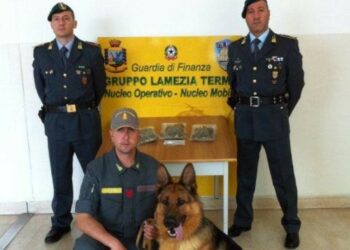 Arrestato un giovane ‘pusher’ lametino per detenzione di stupefacenti