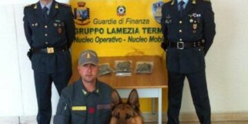 Arrestato un giovane ‘pusher’ lametino per detenzione di stupefacenti