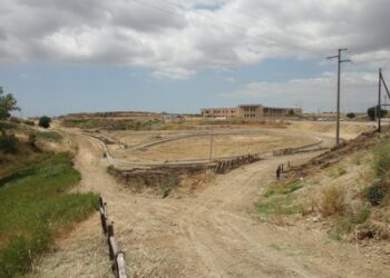 Grande partecipazione alla Giornata ecologica di Papanice