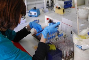 Concorsi pubblici per Collaboratori Tecnici Professionali