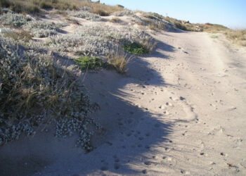 Chi parla della Cervara come parco divertimenti non la conosce affatto