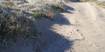 Chi parla della Cervara come parco divertimenti non la conosce affatto