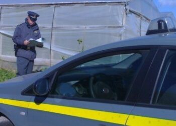 Truffa all’Inps per un mln euro, 72 denunce