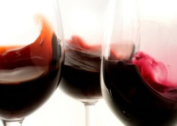 Decimo concorso Vini Arbereshe 2013 a Vaccarizzo