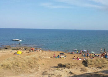 Barca a vela arenata nell’Area Marina Protetta, nessuno interviene