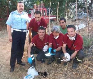 Cagnolini salvati a Petilia Policastro