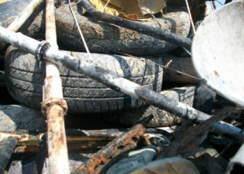 A Torretta seconda edizione di Fondali Puliti a cura della Prociv