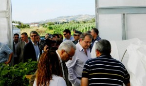 Le Istituzioni incontrano il GAL Valle del Crati (3)