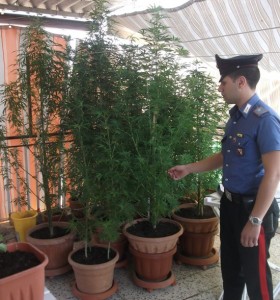 Marijuana sul terrazzo a Crotone