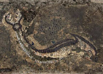 Scoperto il piu’ grande mosaico ellenico a Monasterace