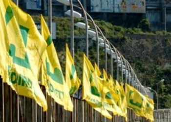 Calabria Oscar Green 2013, domani le premiazioni dei vincitori calabresi