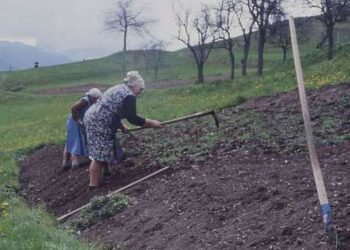 Premio Donne Rurali 2013 a Caccuri