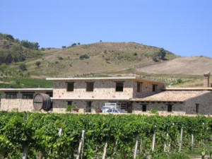 Tenuta Iuzzolini
