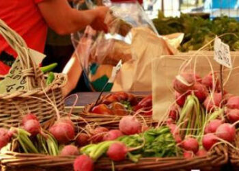 Nuovo mercato del contadino della Presila Alto Crotonese