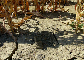 Riserve d’acqua a rischio, Isola e Valle del Tacina all’asciutto ad agosto