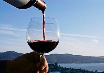 Vino calabrese sempre piu’ amato nel mondo, in crescita l’export