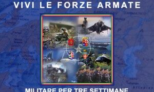 Concorso nelle forze armate, 800 posti disponibili