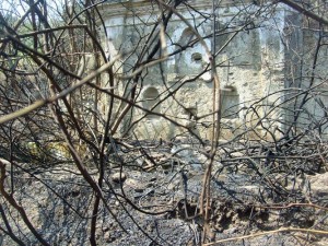 Fontana con abbeveratoio