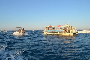 Festa della Madonna Greca sul Mare