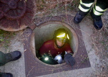 Gattini intrappolati in un tombino, salvati dai Vigili del Fuoco