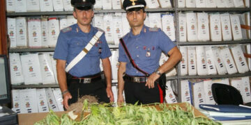 Coltivava marijuana sul terreno del padre