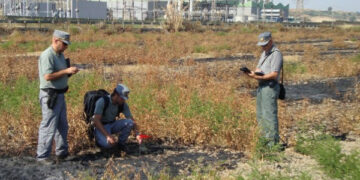 Pensionato di Scandale denunciato per incendio colposo dalla Forestale