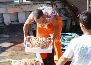 Nel pesce al dettaglio arriva indicazione ‘prodotto italiano’