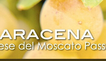 Programmazione estiva 2013 a Saracena