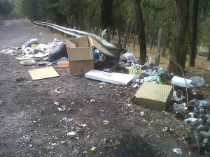 Rifiuti indifferenziati abbandonati nella periferia di Caloveto
