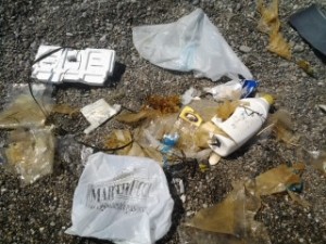 Parte dei detriti raccolti