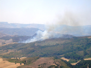 Macchia Mediterranea
