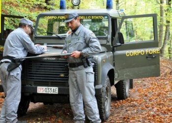 Spara specie protetta, denunciato cacciatore nel crotonese