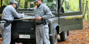 Spara specie protetta, denunciato cacciatore nel crotonese