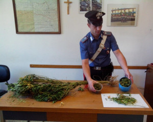 Cotronei, arrestata donna con mezzo etto di marijuana