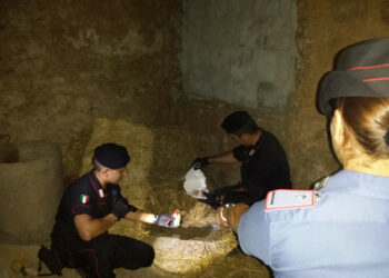 Crotone: esplosivo tra le galline, si aggrava posizione di Gerace