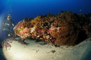 Fondale stretto di Messina