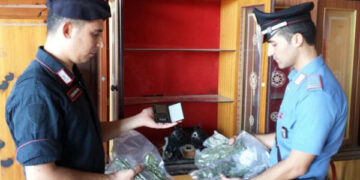 Nascondeva droga nell’azienda di famiglia, arrestato 30enne