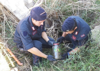 Nascondeva la marijuana a casa della nonna, 21enne arrestato