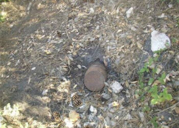 Rinvenuto ordigno bellico nel Parco del Pollino