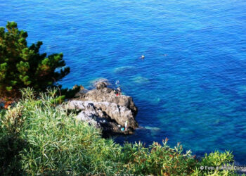 Aeroporti, Magorno (Pd): valutare apertura Scalea a voli turistici