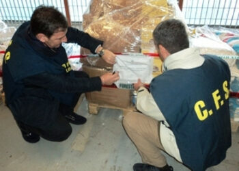 Sequestrati 114kg di formaggio nel crotonese
