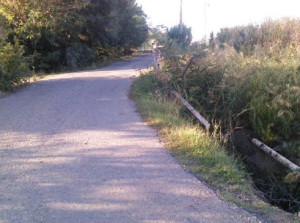 Via Lacinio a Crotone (1)