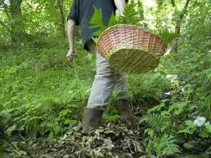Ritrovato cercatore di funghi 20enne disperso in Aspromonte