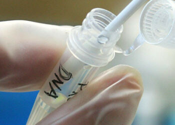 I resti trovati nel cimitero di Paola sono di Panaro: conferma dal test Dna