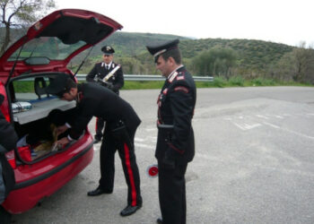 Simulano incidente mortale, truffa scoperta: 10 denunce