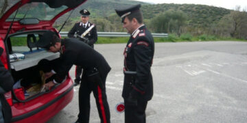 Simulano incidente mortale, truffa scoperta: 10 denunce