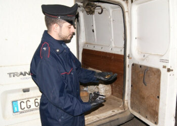 Agricoltore isolitano girava armato di pistola, arrestato