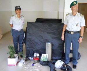 Coltivava marijuana in casa, denunciato giovane lametino