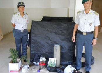 Coltivava marijuana in casa, denunciato giovane lametino